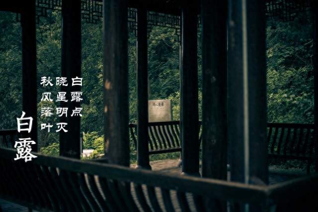 处暑再见，白露你好