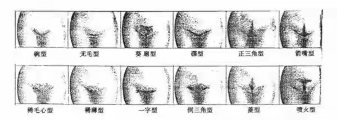 天气越来越热，要不要修修毛毛？ 