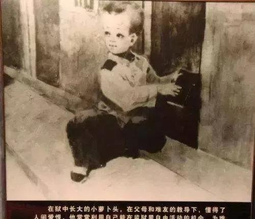 [微风]1949年，小萝卜头的遗体在戴公祠警卫室被挖了出来，已经腐烂，但他手里还