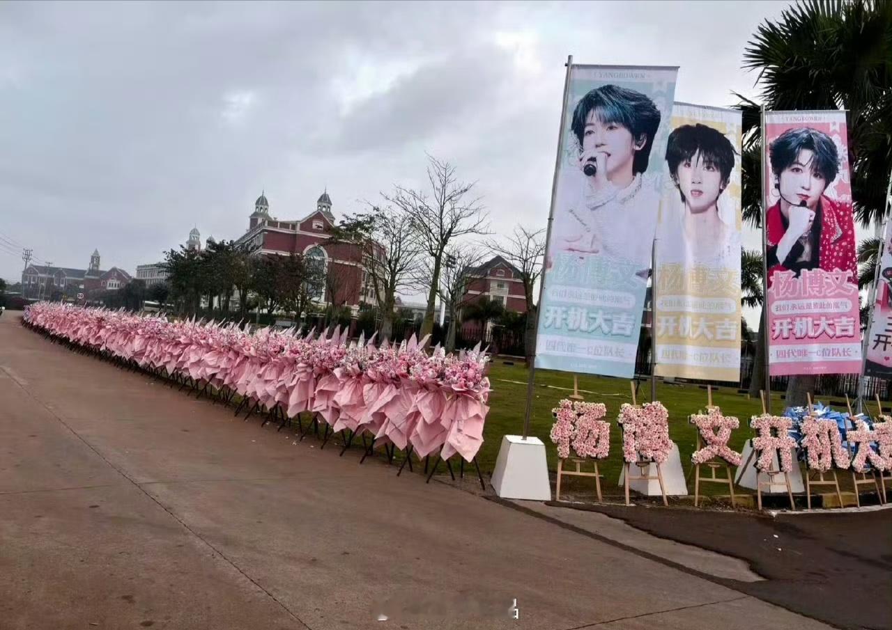 粉红花海好美，应援排面拉满满，㊗️杨博文新剧开机大吉杨博文开机应援