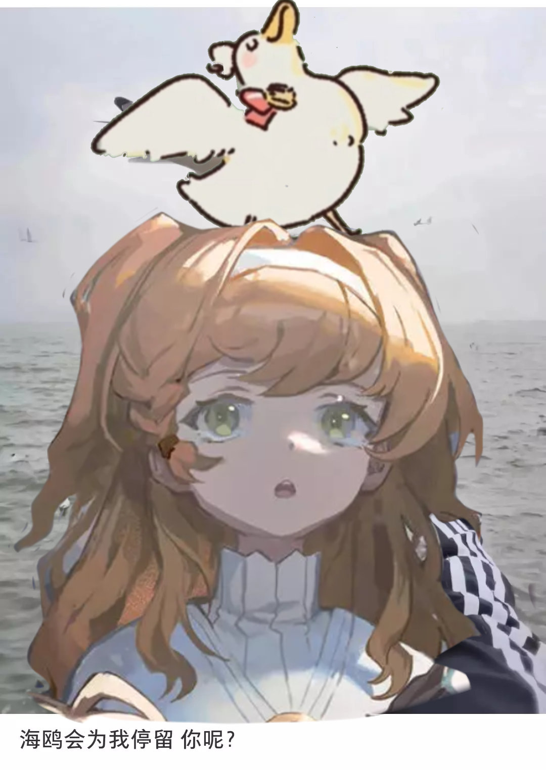 “鸭子会为我停留，你呢”#重返未来1999# ​​​