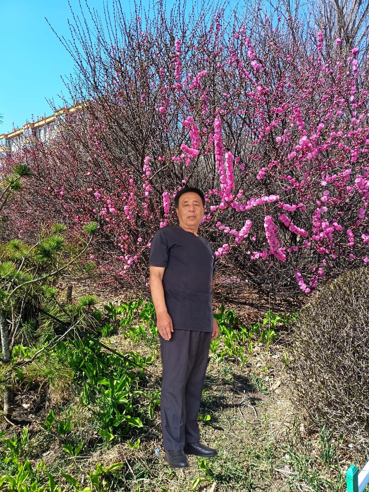 ，把春天的生机拍下来了 ，记录身边的绝美春色 ，把春天溺在花海里 一一