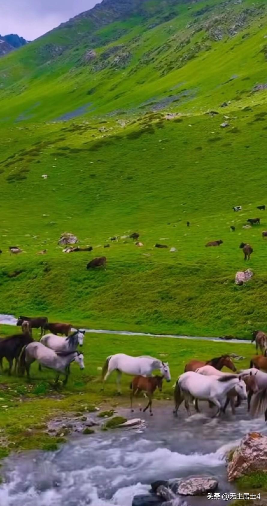 胃癌后，可不能听信偏方，否则会出事！
        不知道胃癌的战友们有没有注