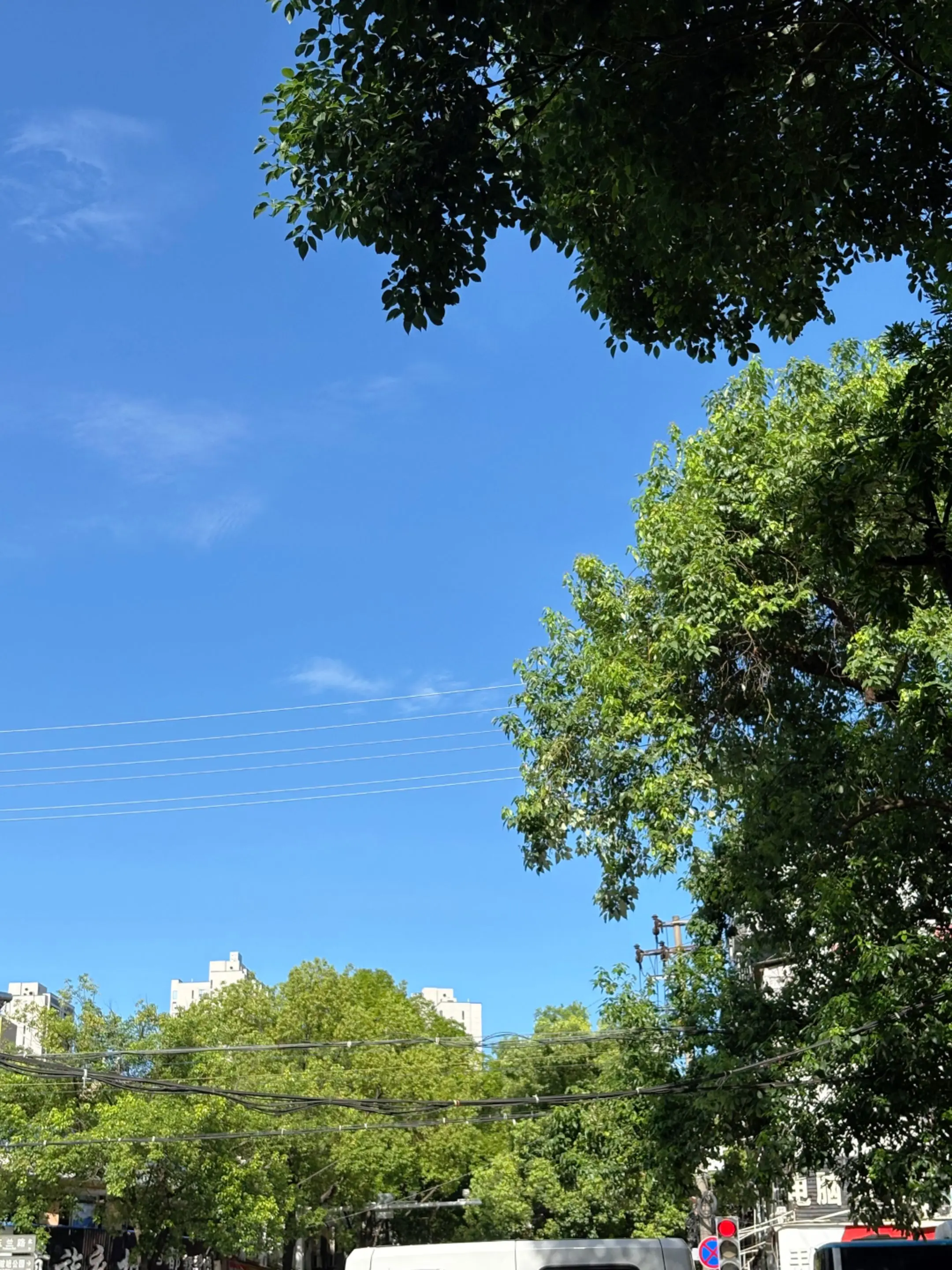 平淡的生活让人觉得幸福感满满。听到这首纯音乐有没有一下回到小时候的感觉