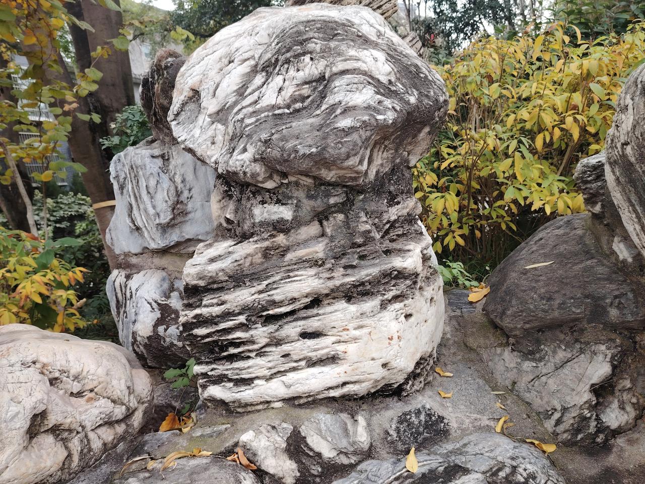 有个学校，新来领导。接到任命，暑假到校。考察中层，调整领导。
能者留下，庸者换掉