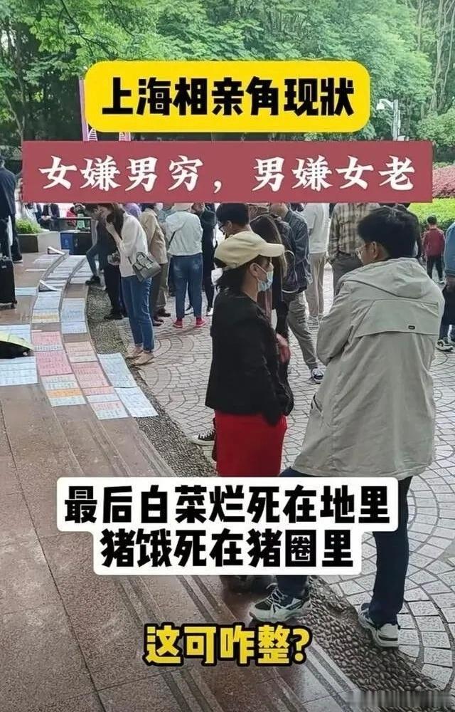 上海人民公园相亲角最近因一位赛博红娘的亮相引发热议，这位由AI扮演的嘉宾凭借精准