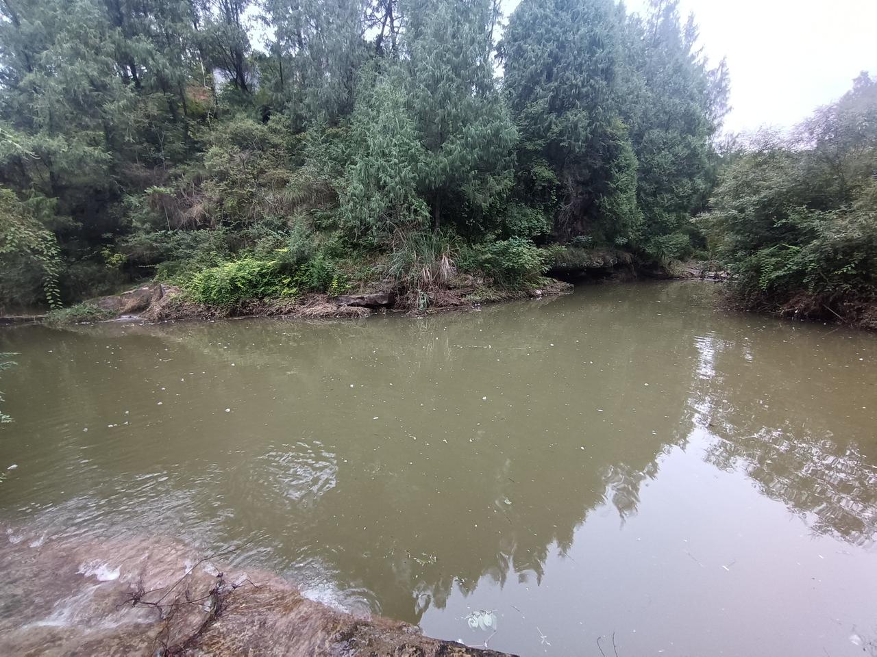 你问我答这种水潭有鱼吗？这是两条山间小溪汇合之处，以前这里是自然水冲击出来的一个