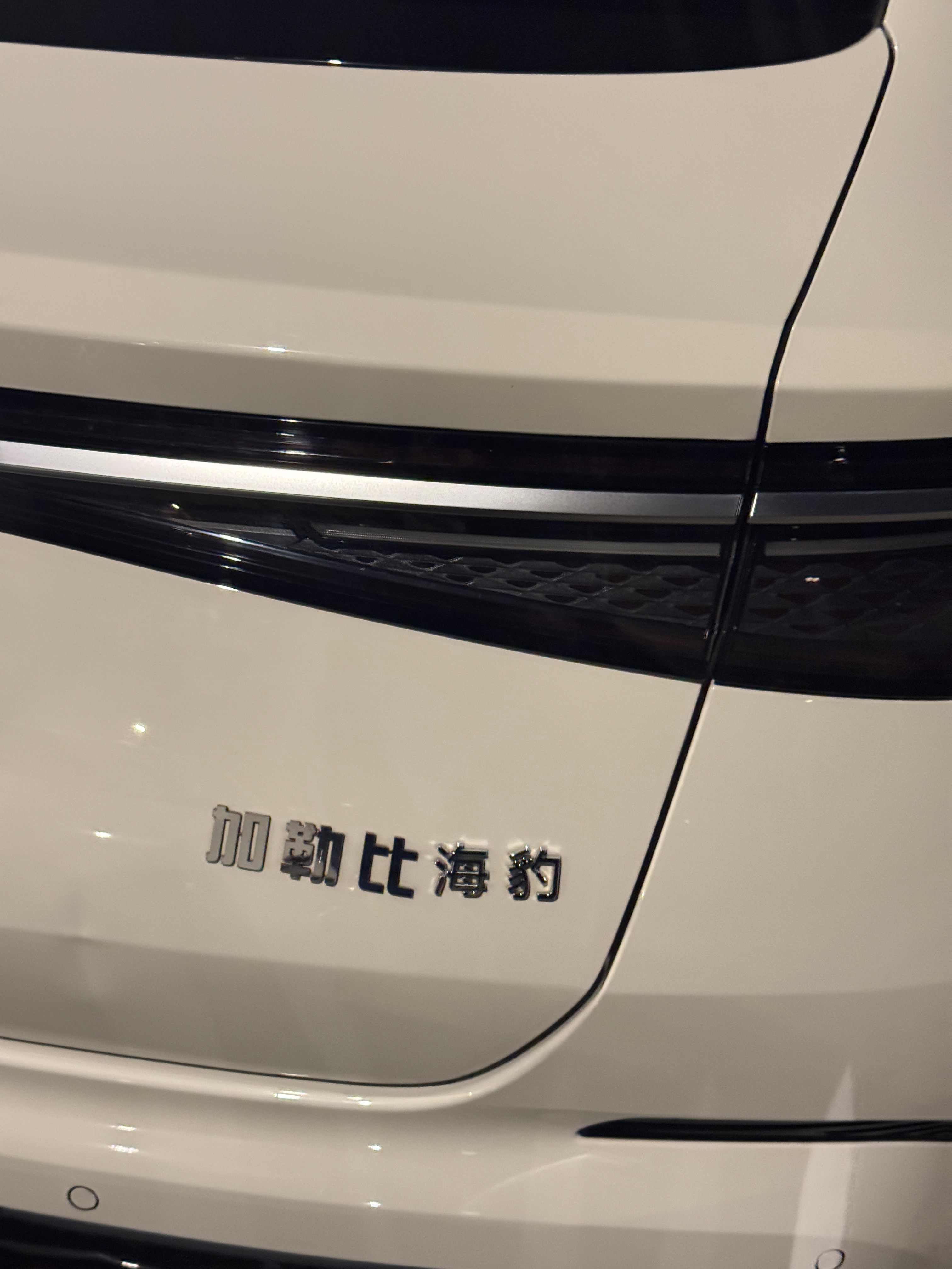 每天都可以收集有趣的素材分享我的日常plog 成都