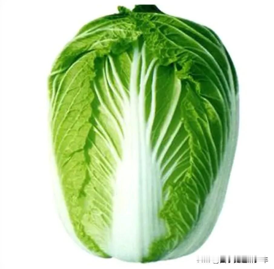 白菜4元一斤不贵吗？太贵了。不过现在收入高的群体，青睐于有机菜，有机菜的价格一般