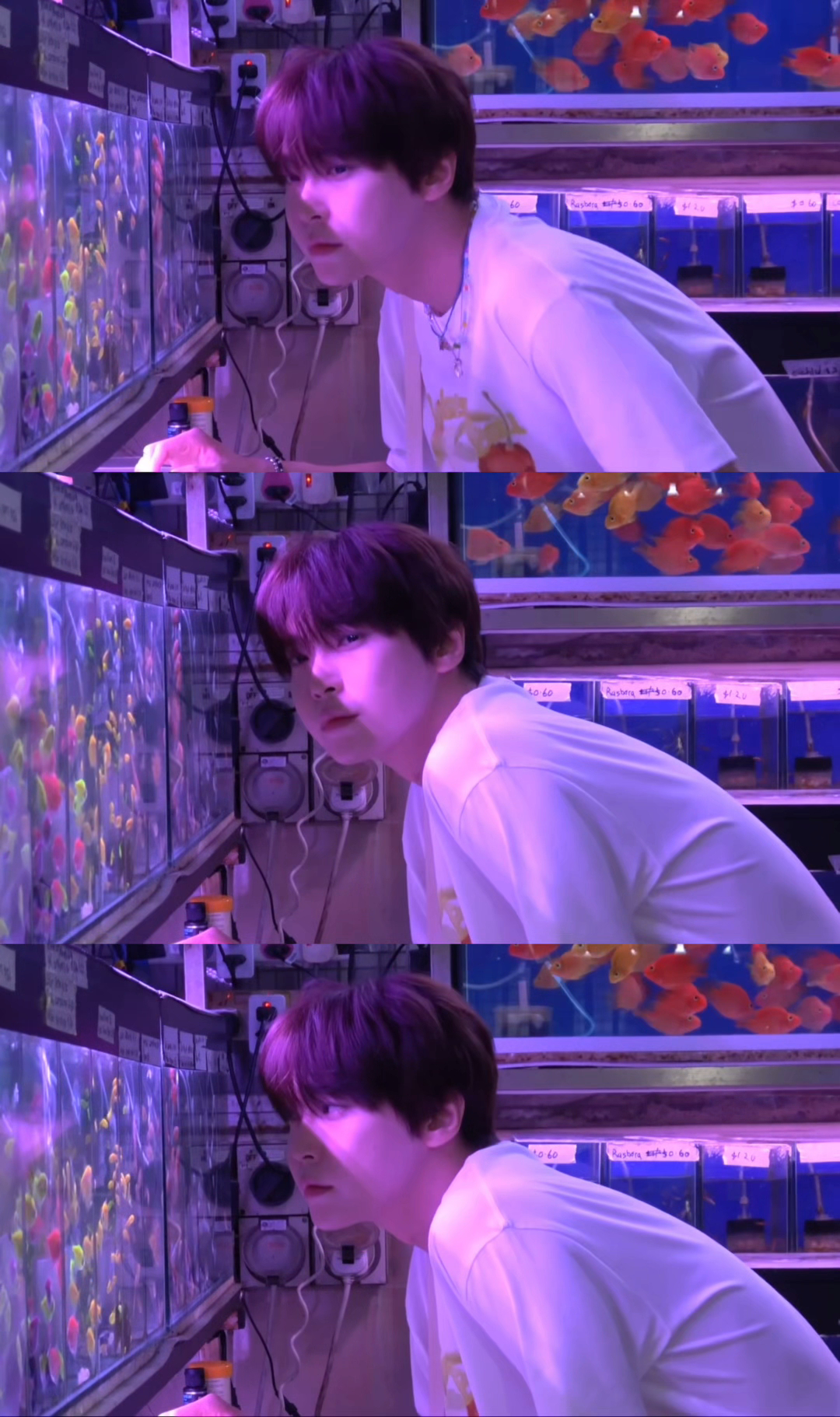 📸SOUND OF MEMORIES Behind Shot 
