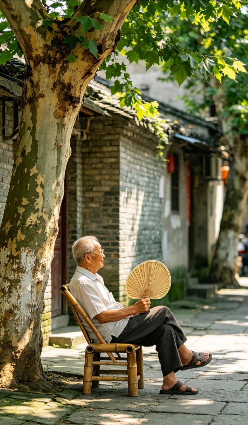 老巷的梧桐树下，几位老人摇着蒲扇静坐，光影斑驳洒落，满是烟火气与沁人的凉意。