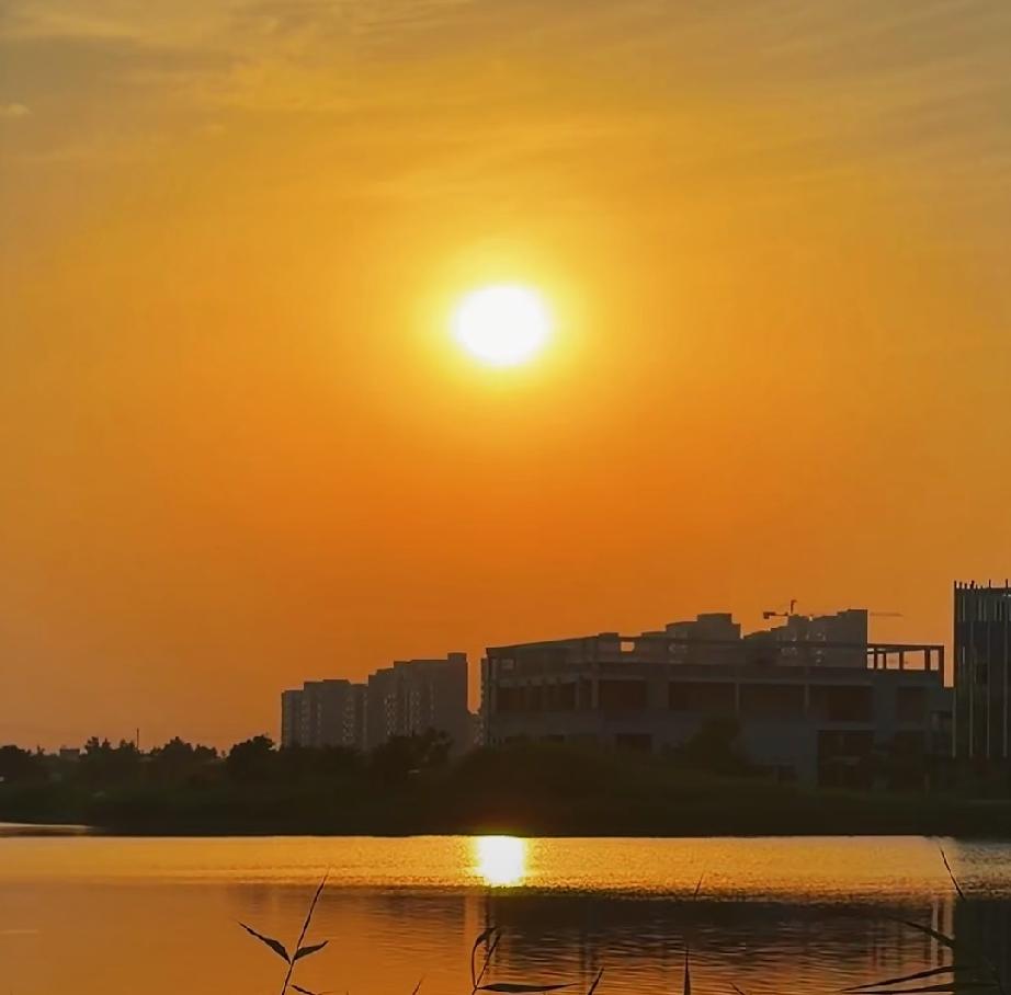 曹县南湖落日
2026年6月2日