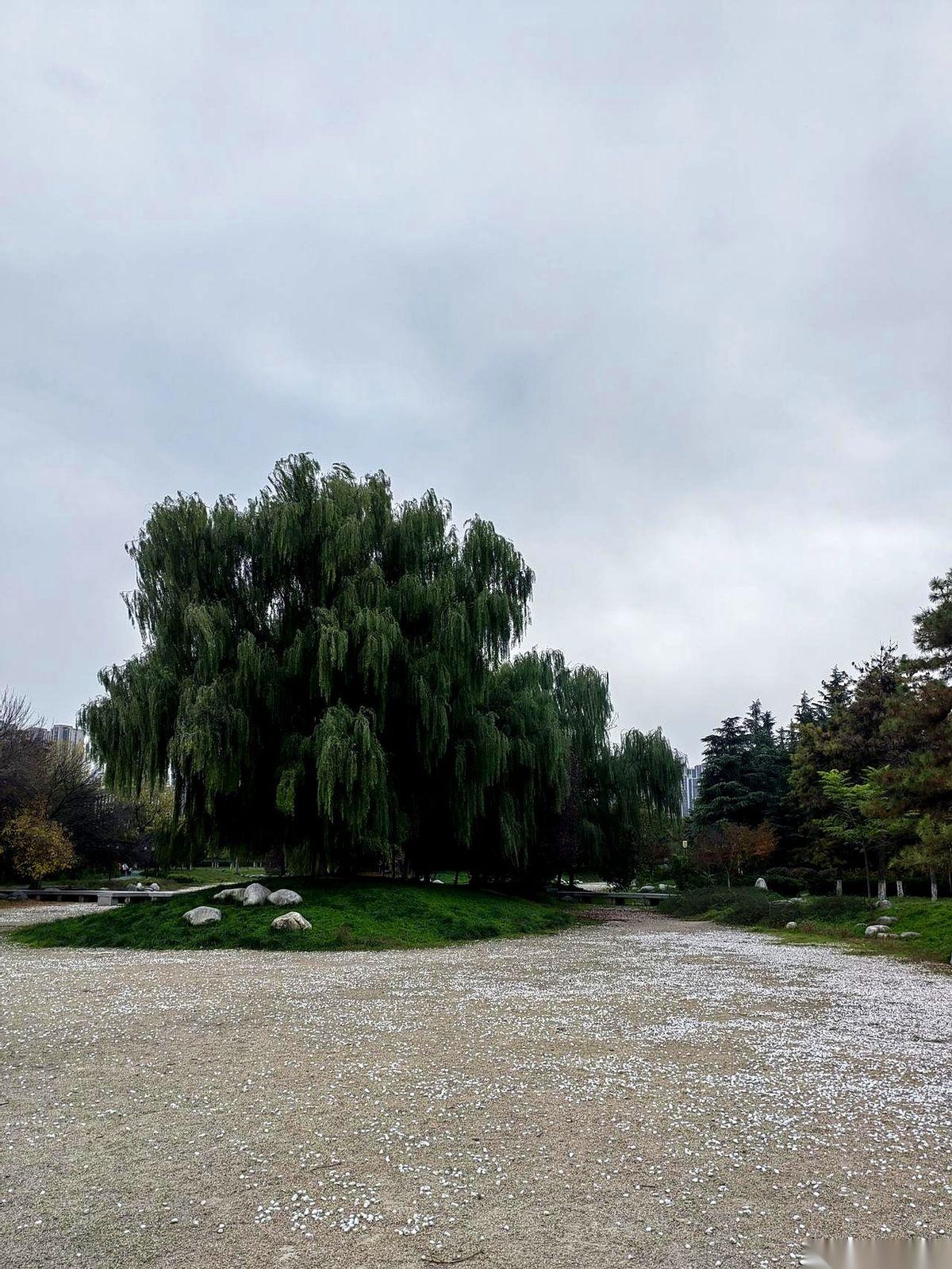 我一亲戚家的孩子，今年高考，刚过三本线，要去复读了。
谁能想到呢？他当年可是他爸