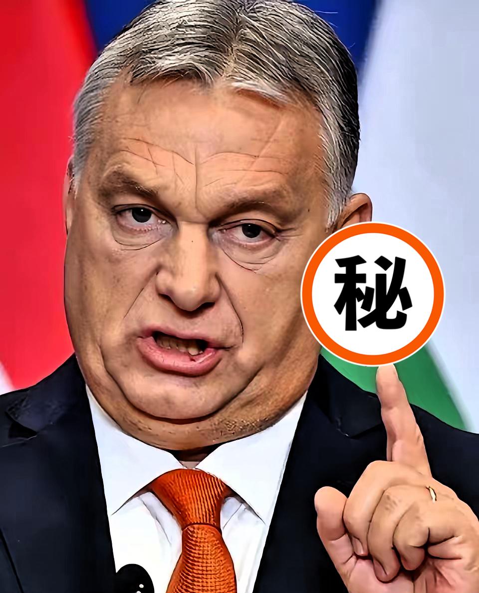 就在刚刚

匈牙利总理公开宣布
11月4日，匈牙利总理欧尔班在社交媒体公开宣布：