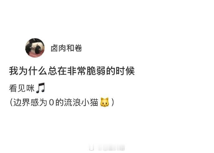 有些小猫真的很没有边界感！ ​​​