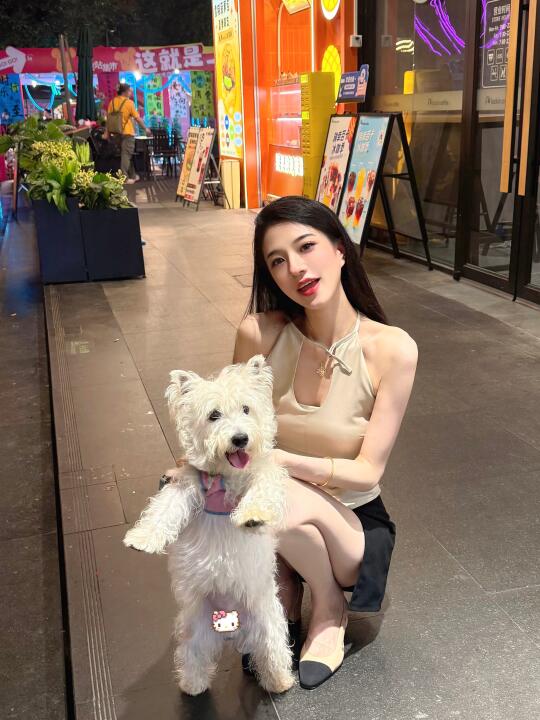 快乐小狗