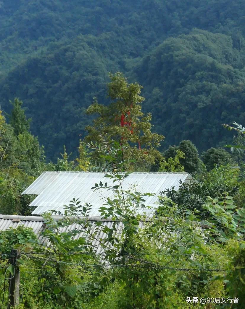 随拍几张深山里的秋韵。才发现秋天原来早已来到，身处山中感受尤为明显，特别是一场秋