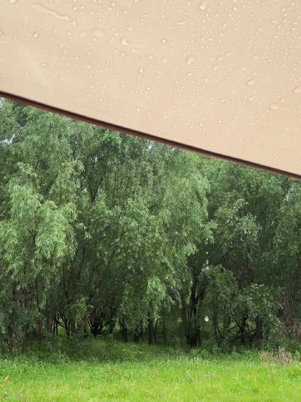这个周末的乐子事一定要分享给你们，真的又浪漫又搞笑！因为突发奇想想试试野餐的感觉