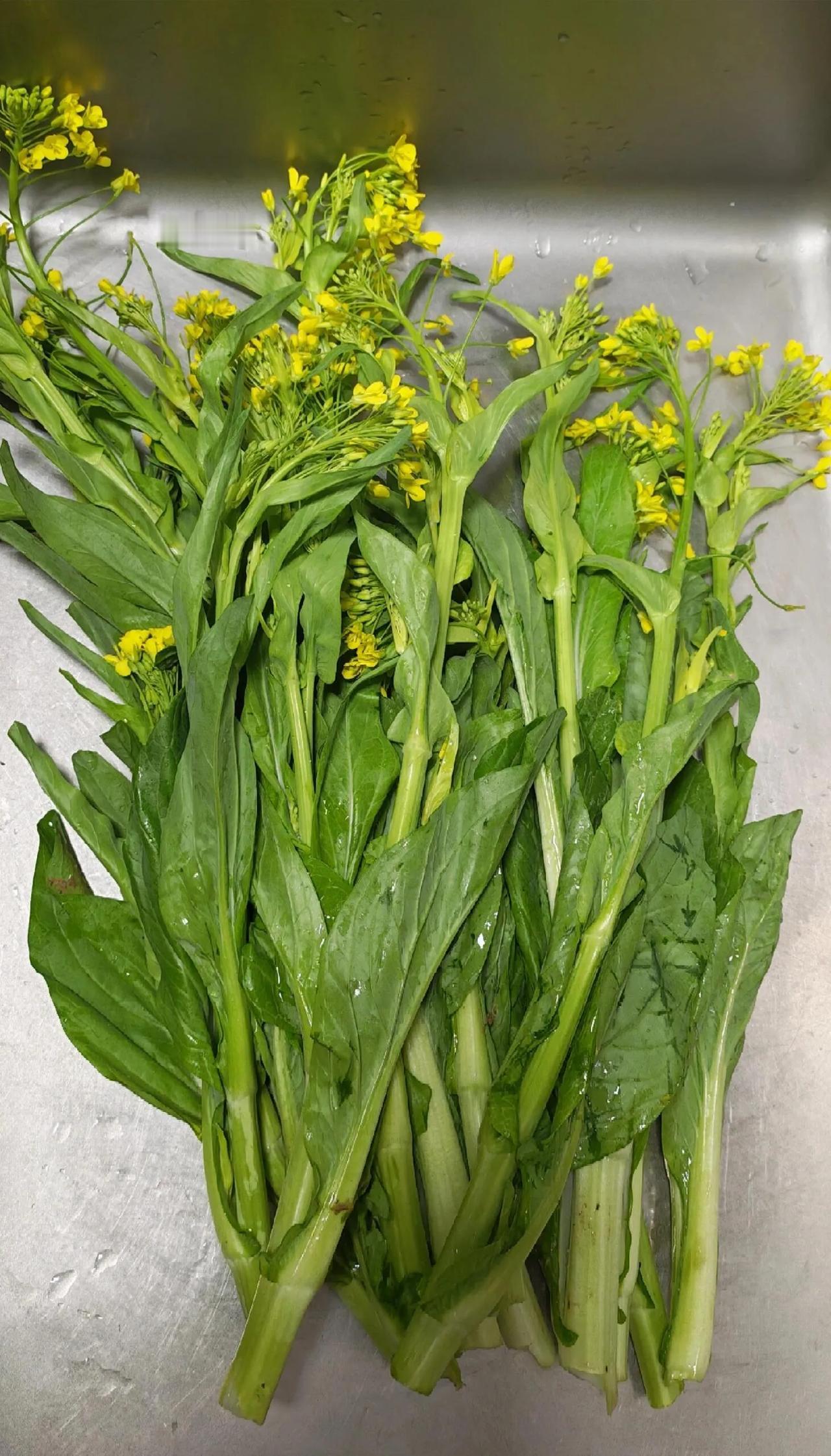 卖菜老板问我，你是不是种过菜，为什么你总会挑最当季最好吃的菜？我说，我家种了十几