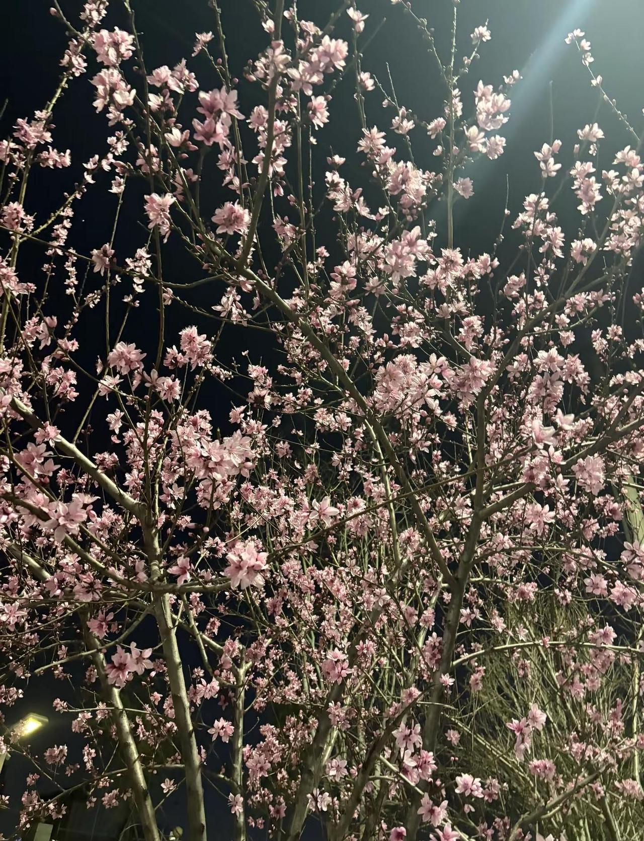 整理心情，少说话，安安静静，慢慢的往下走，做自己就好