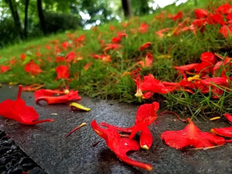 浣溪沙.和苏轼《浣溪沙.游蕲水清泉寺》

花落春残水涨溪，莺声娇巧燕衔泥。殷勤早