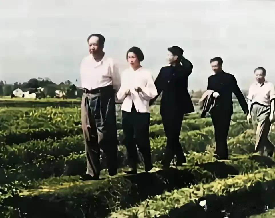 建国后，新中国的建设与发展成为毛主席心心念念的大事，而农业发展更是重中之重。19