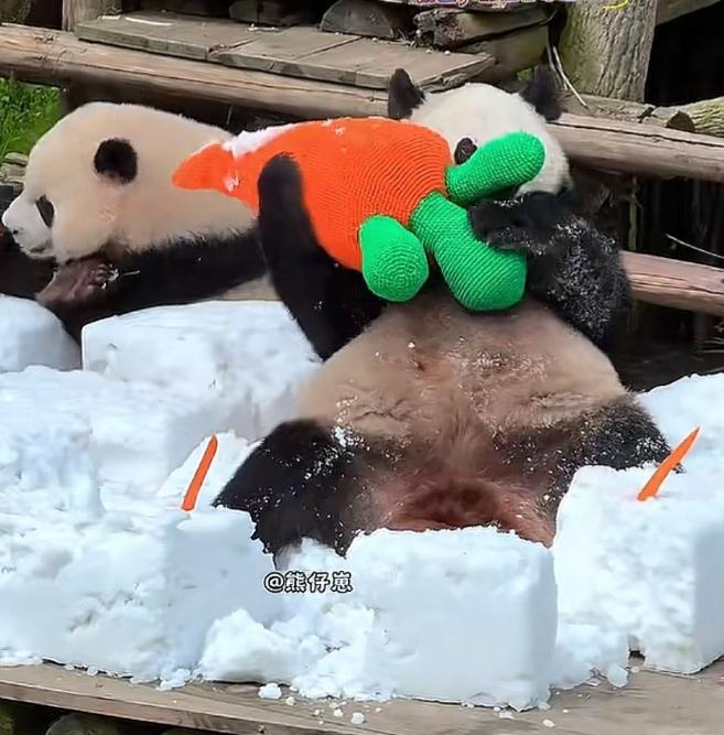 墩墩坐在围墙外的一个矮板凳上温柔地注视着三妹母女，怎么看也看不够，好像要把错过它