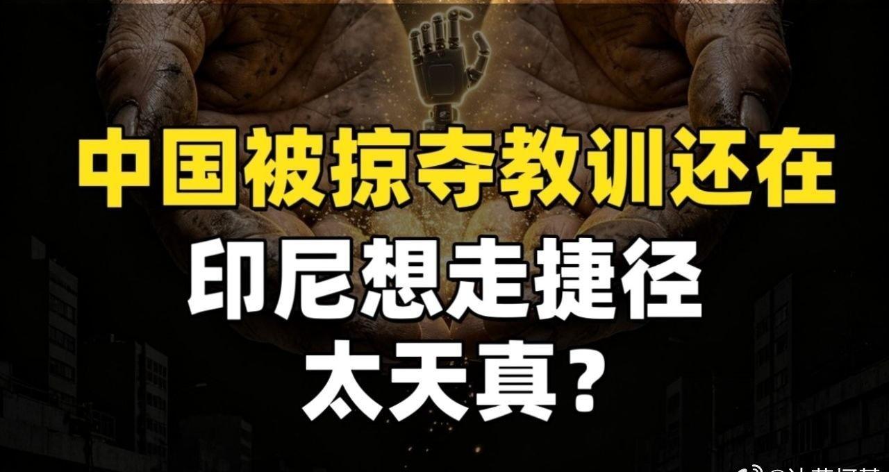 📌中国当年被掠夺的教训还在，印尼想走捷径，太天真？>> 中国当年被掠夺的教训还