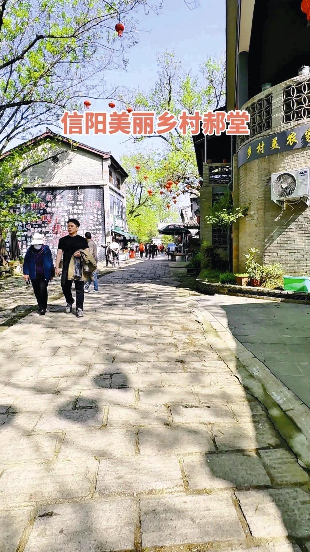 在信阳郝堂，时光好像慢了下来。青石板路蜿蜒，老房子错落，每棵树都带着岁月的温柔。