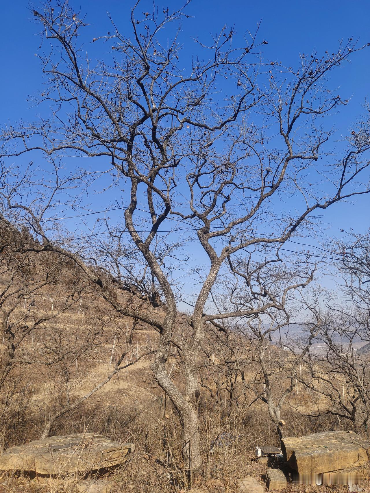 你所知道的临沂最有名的是什么沂蒙精神应该是临沂最有名的，临沂是一个古老的地方，时