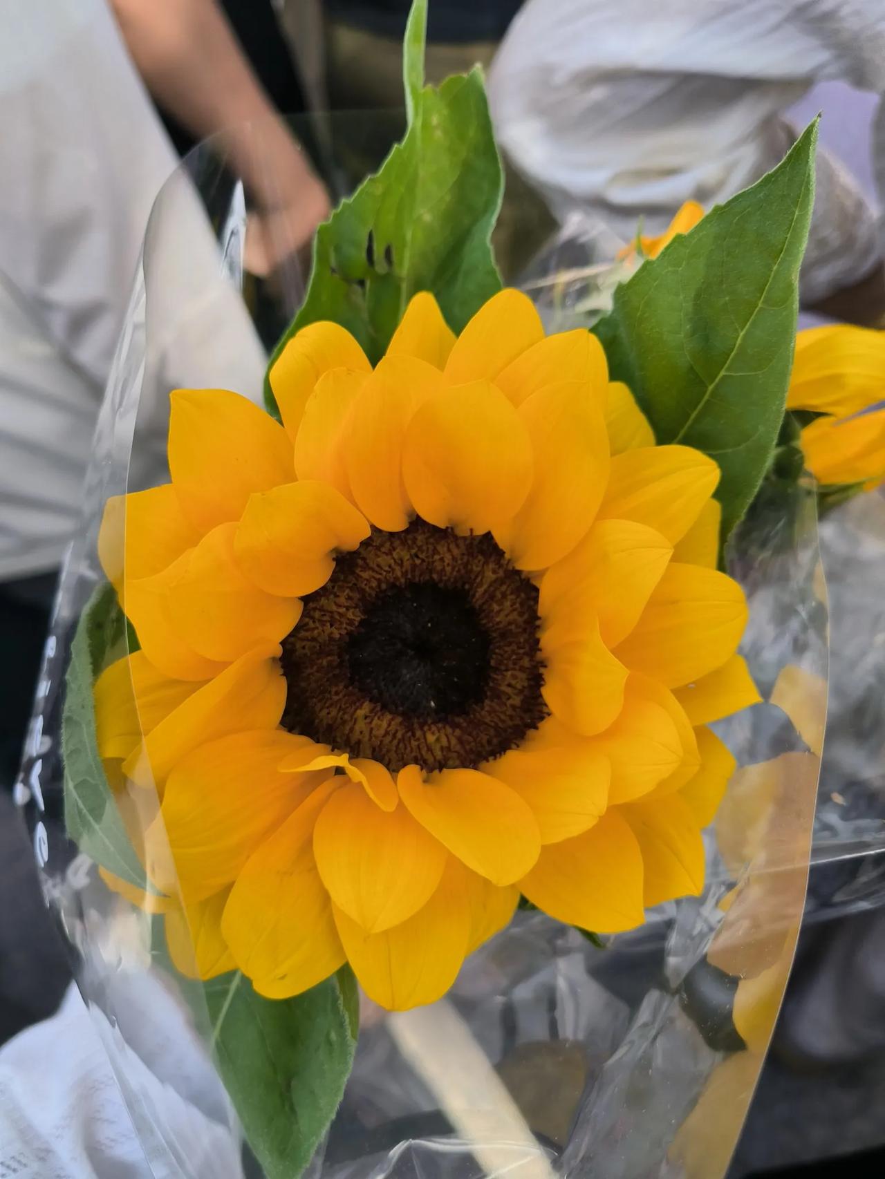 人民日报·人生的答卷
高考，无非就是很多人同时做一份卷子，然后决定去哪一座城市，