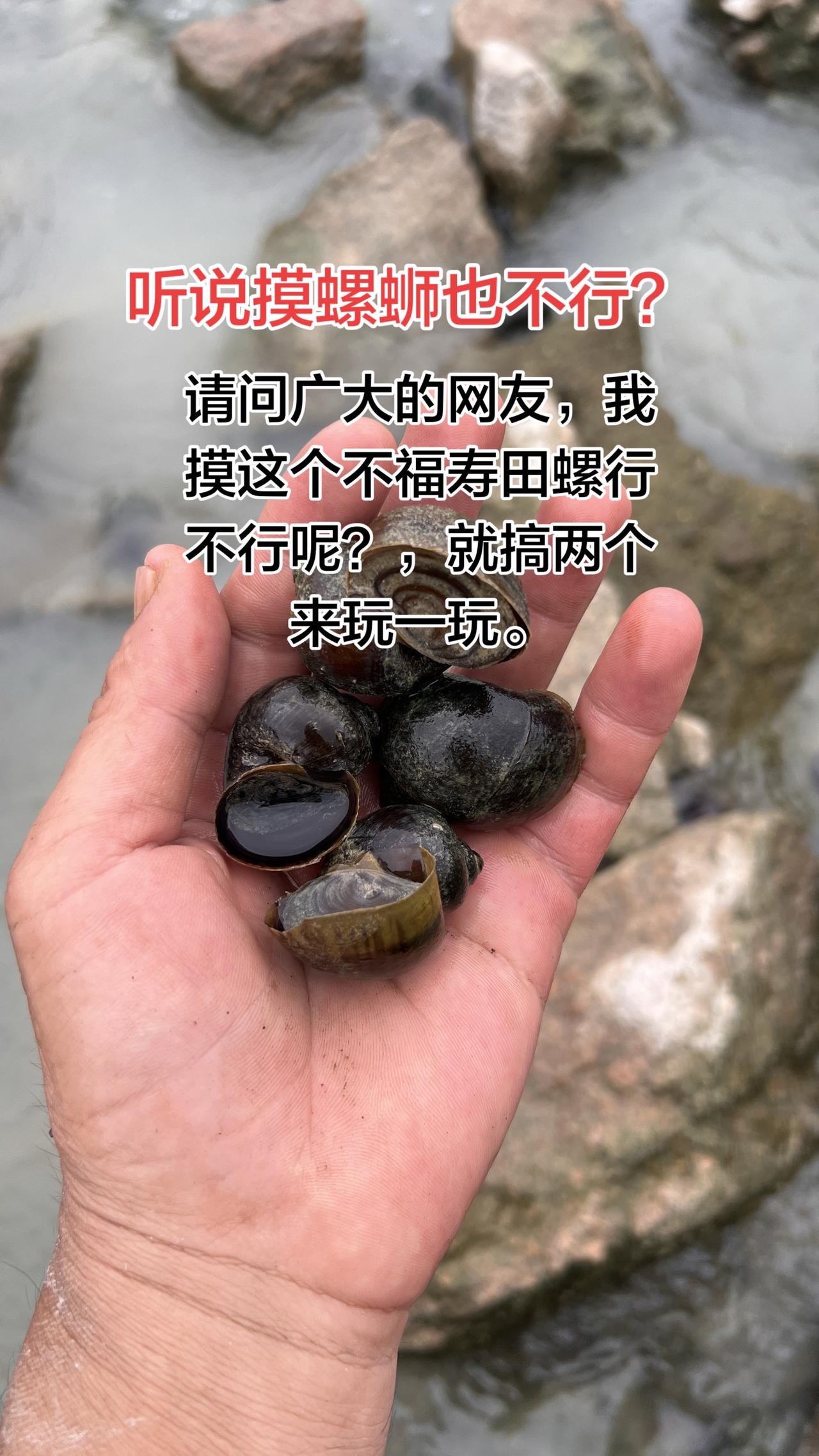 听说摸田螺也不行，不知道是否真实，最近看了一个新闻，听说说摸螺蛳2000公斤被抓