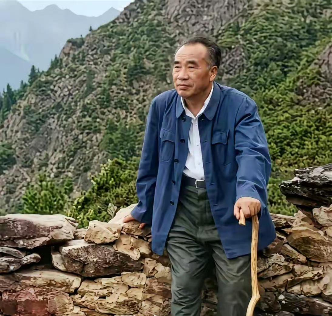 1962年，七十六岁的朱德拄着木杖，再踏井冈山。山间石阶崎岖，老人家步履缓慢，手