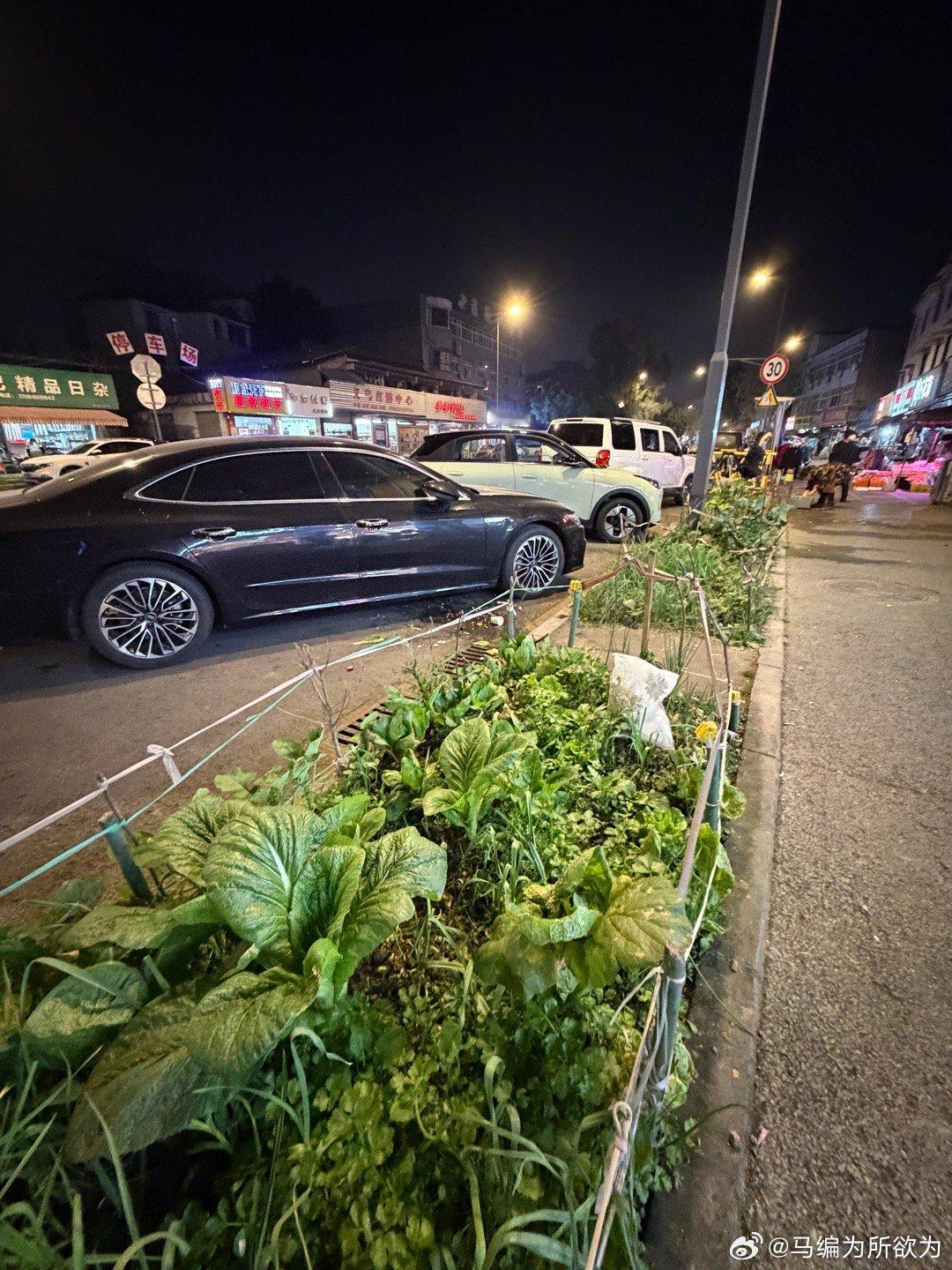 带老外出来甜水面，被成都街景震撼哈哈哈 好有趣 成都·白家老茶馆