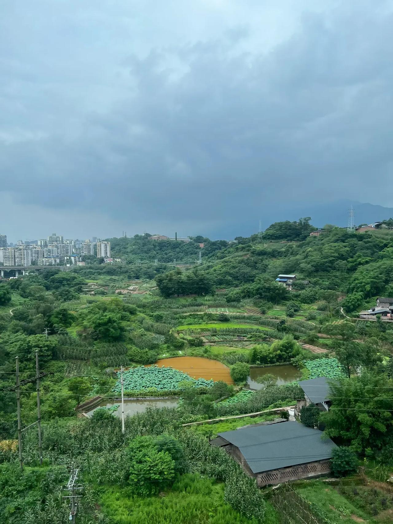 于海青：为何我不远万里奔赴重庆钓鱼城？ 说起重庆钓鱼城， 很多人都知道这个地方，