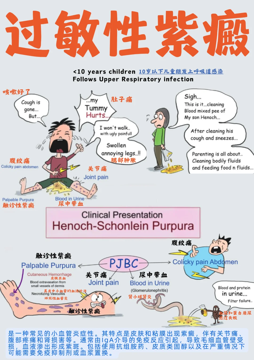 备考RN/过敏性紫癜！！学！！单词