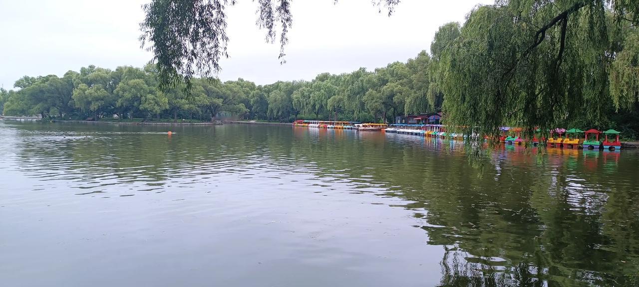 如果在家看书，也是一种享受，不见的是抑郁，就是和以前比较起来，书生气浓了些吧！我