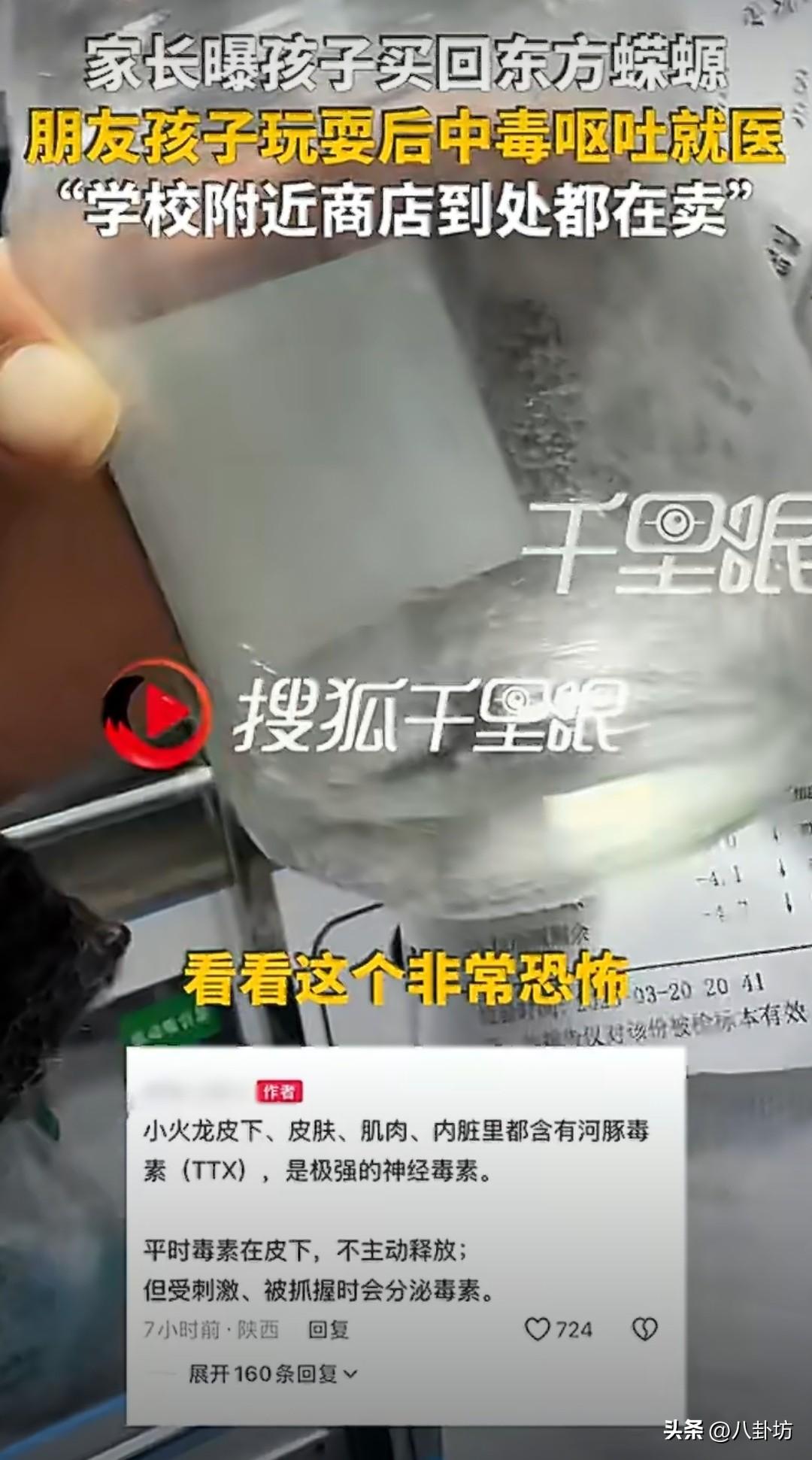 学校门口真是啥都敢卖！！！最近西安某小学门口有摊贩在售卖东方蝾螈，不知情的小学生