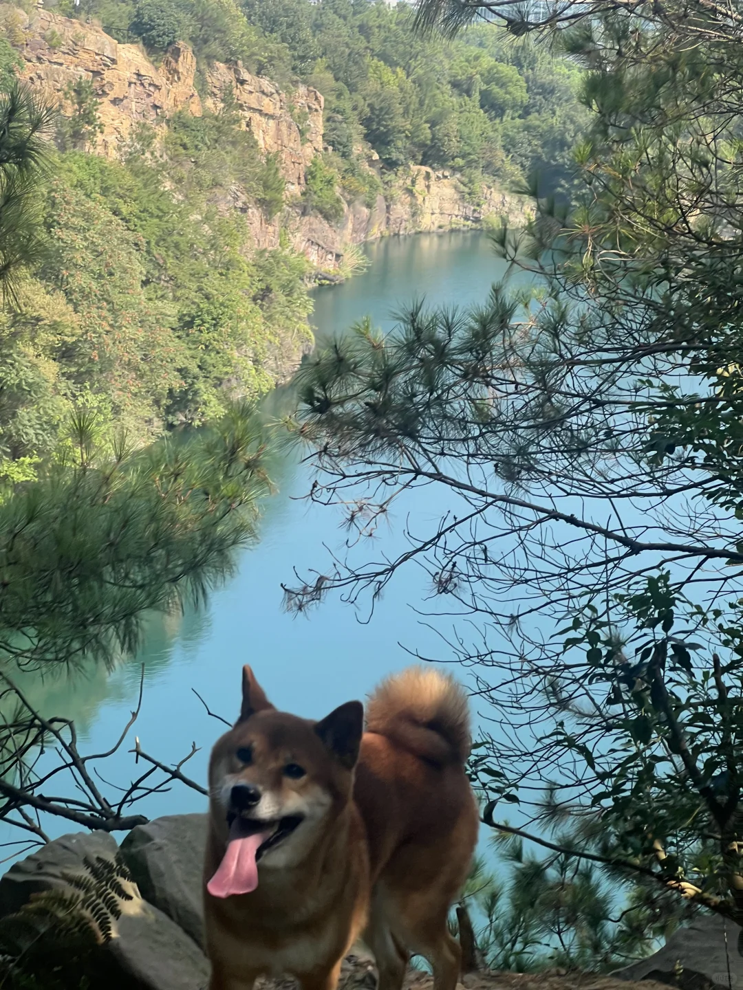 2刷虞山
