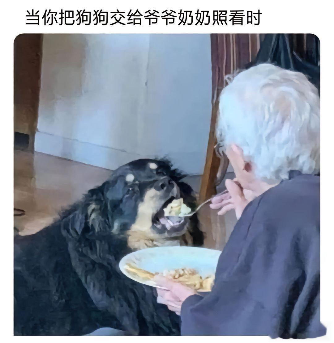 今天也要有趣 ​​​