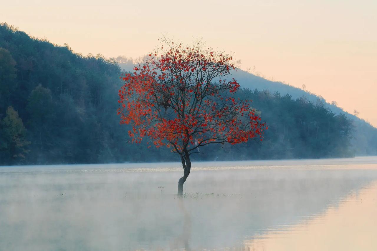 最近我看到了很多的文章和视频，都在说痛恨满清，难道我们痛恨的不应该是吴三桂这种人