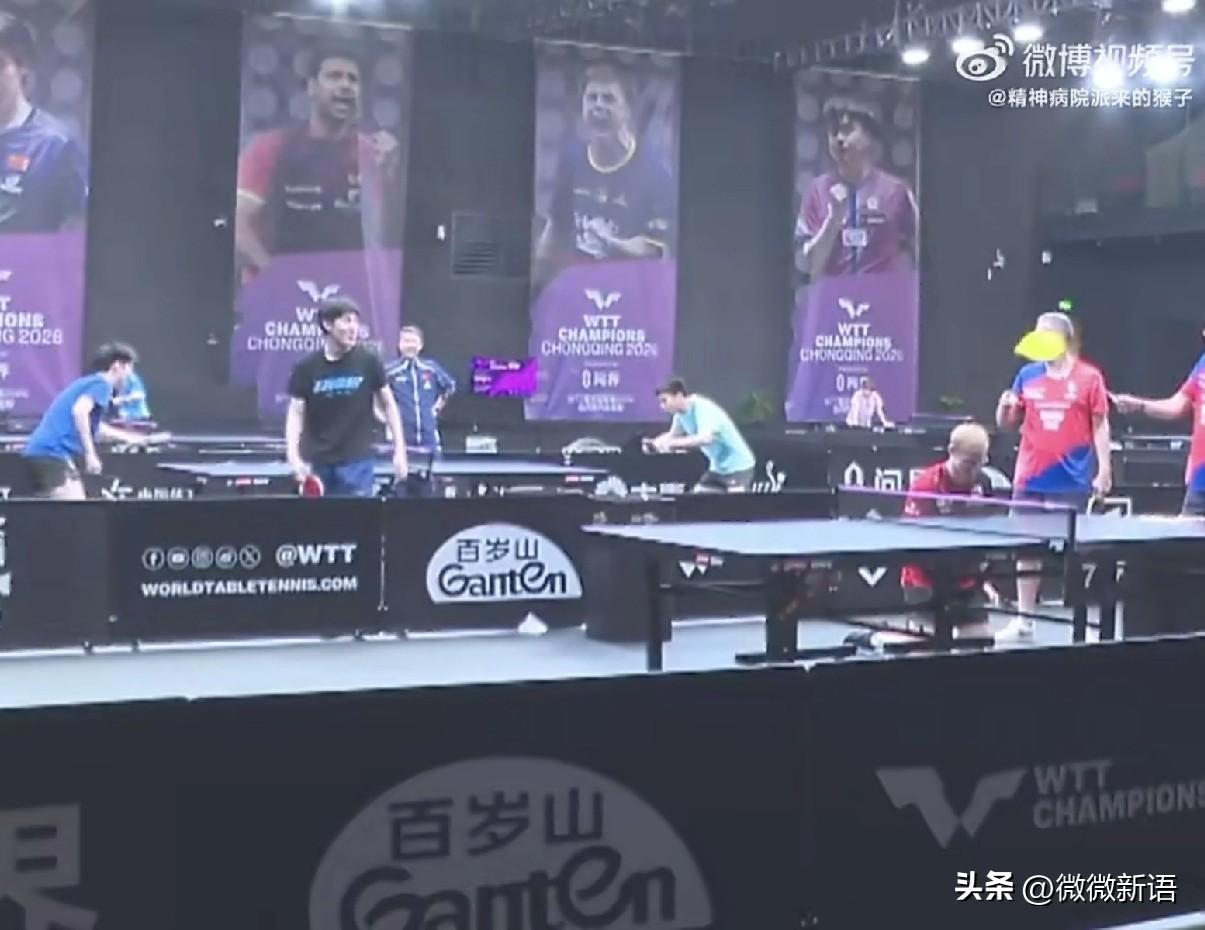 温瑞博的性格也很开朗啊，昨天刘恒带着温瑞博在训练，他看到隔壁球台的菲利克斯·勒布