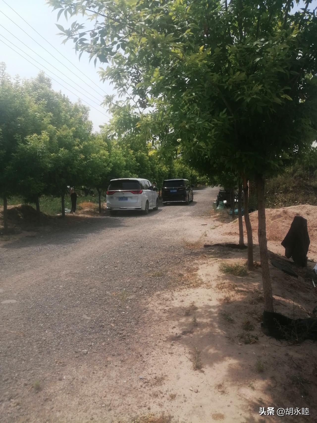 刚刚，汾阳农业局一行六人来我基地考察。

我对领导们讲，要想让农民心甘情愿地生产