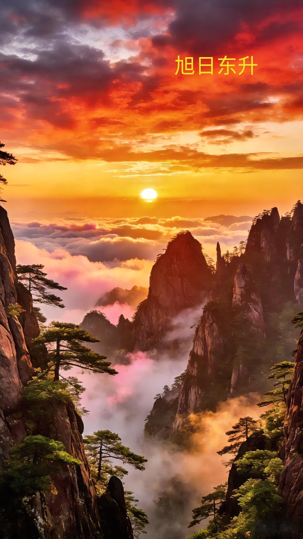 分享最美的壁纸图片