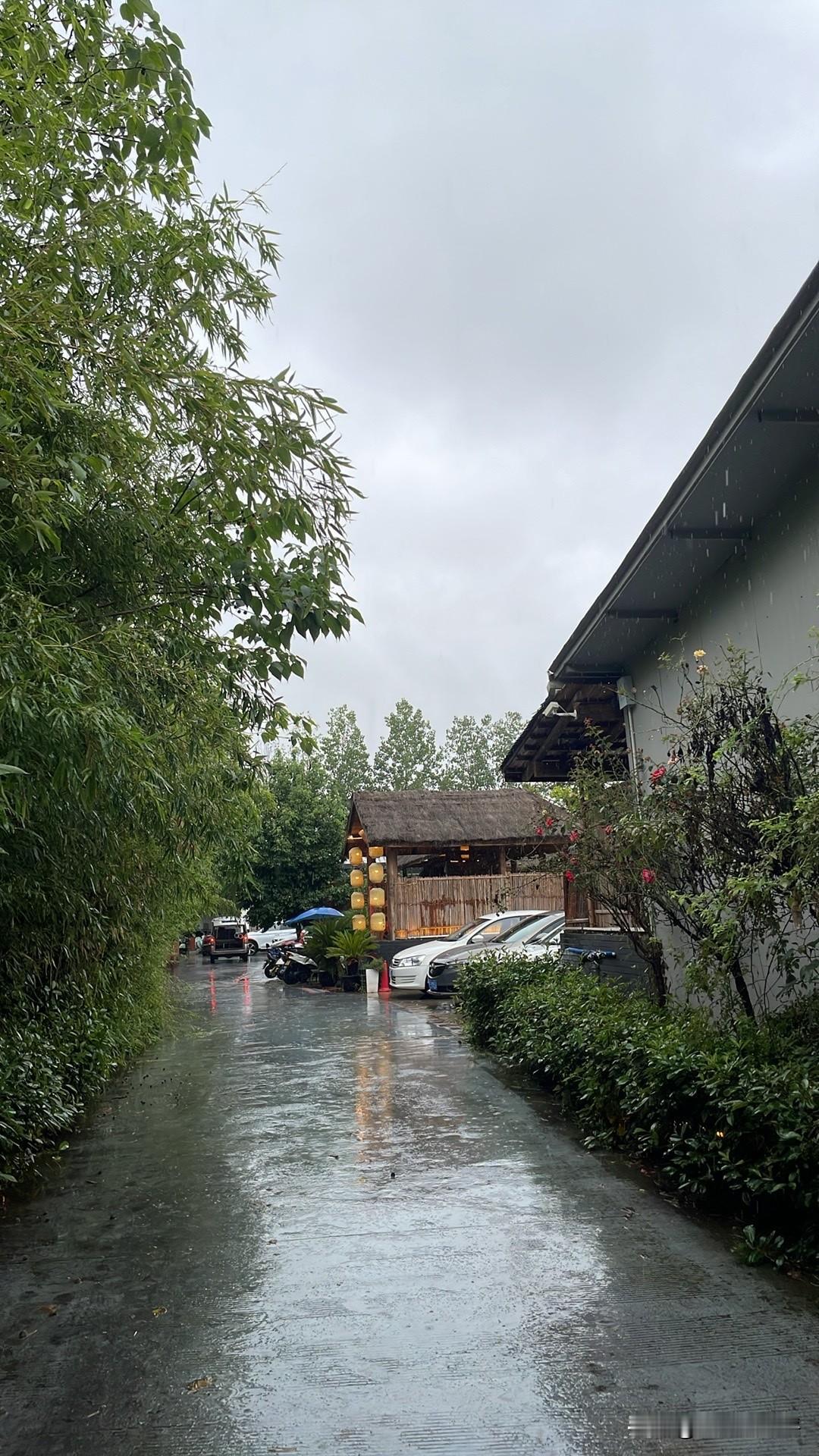 立秋的雨,算是秋雨吗?
立秋的雨，应该是标准的秋雨吧？立秋下雨，风调雨顺，万事如