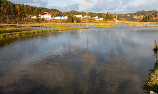 【#2岁孩童农田溺亡家属索赔承包人#】一名2岁多的孩童跟奶奶外出挖红薯，此后奶奶