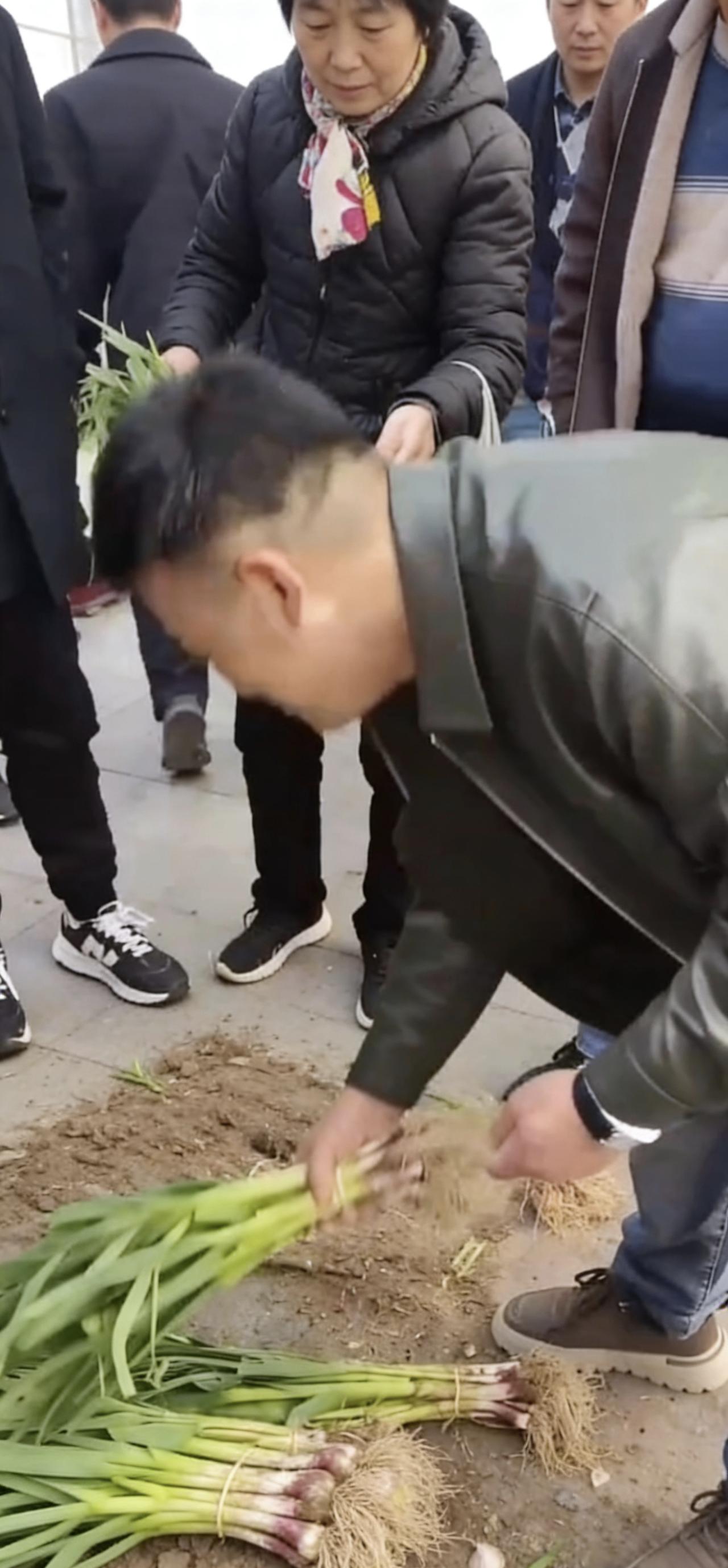 近日，安徽蚌埠，一老人自己种的蒜苗卖不出去，让儿子处理掉，儿子把蒜苗拉到街上来卖