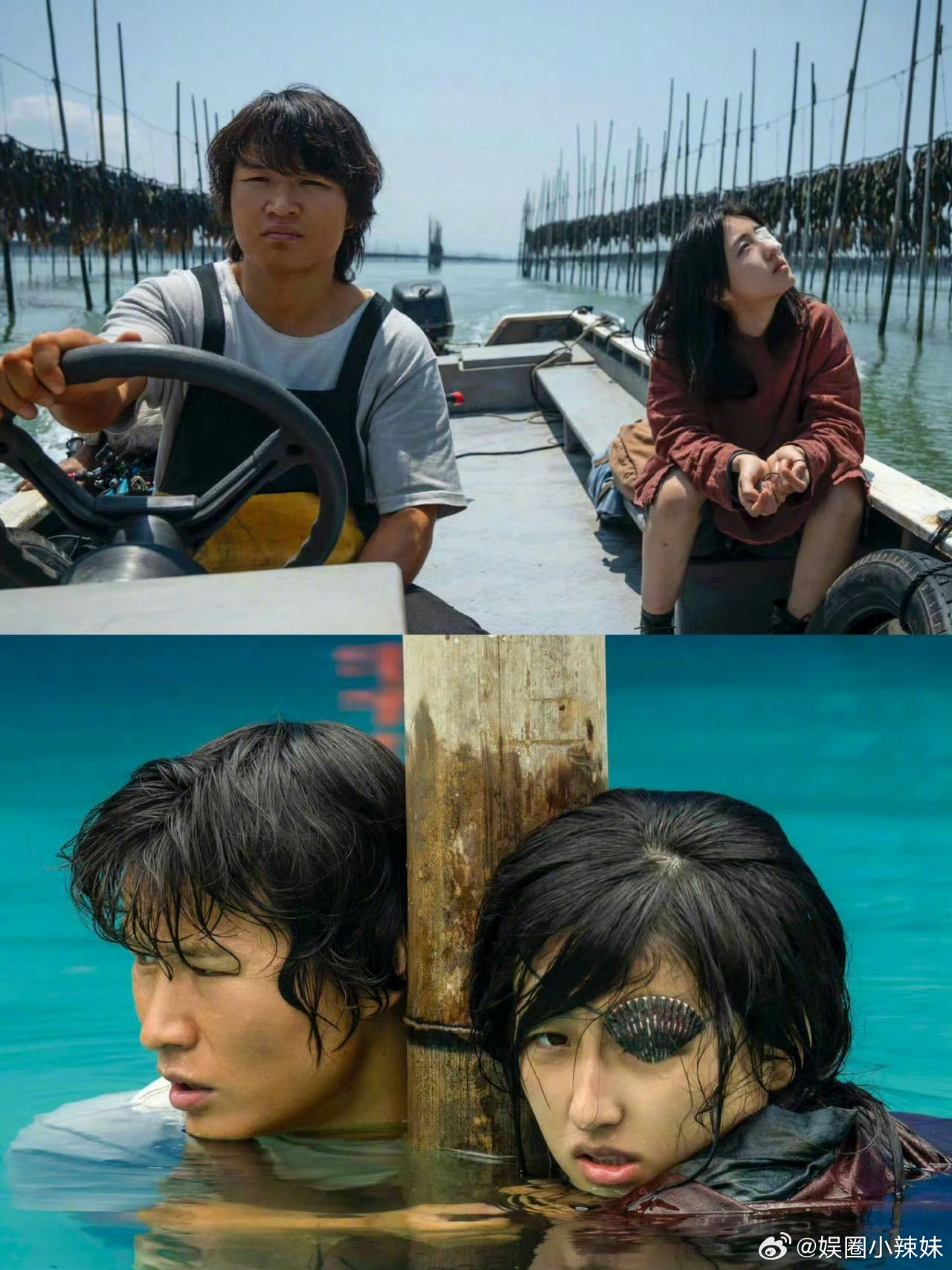 张子枫张伟丽终于并肩绽放 救命！这组合也太惊喜了吧！张子枫的演技没话说，张伟丽的