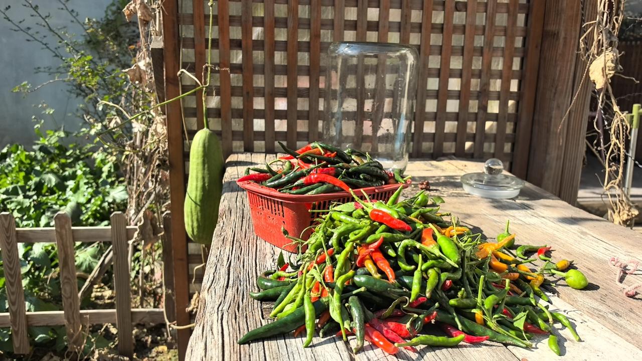 上联：霜降大地草含露，
下联：雨打黄花一窗秋！