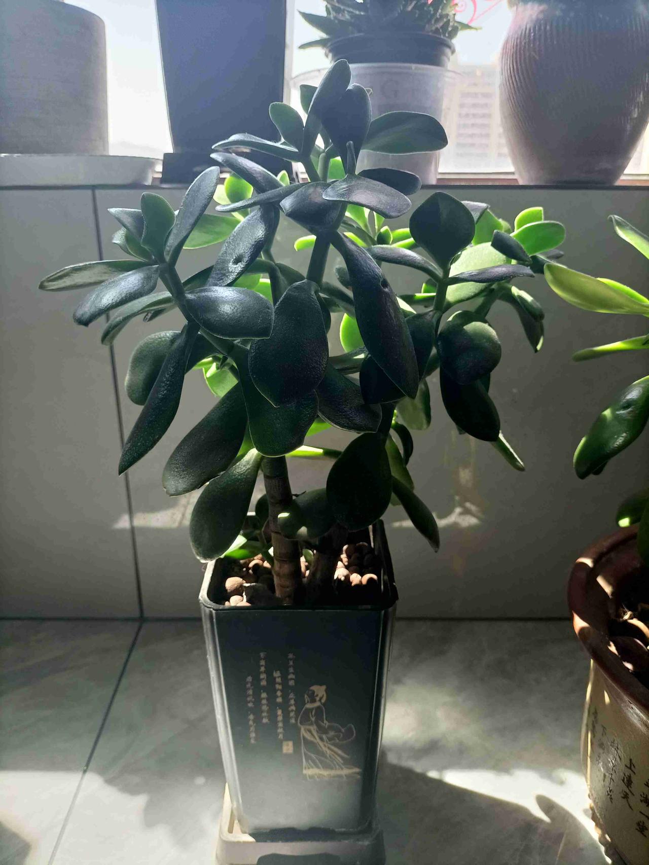 我的今日状态：😁轻松愉快
我这里的天气：☀️晴天